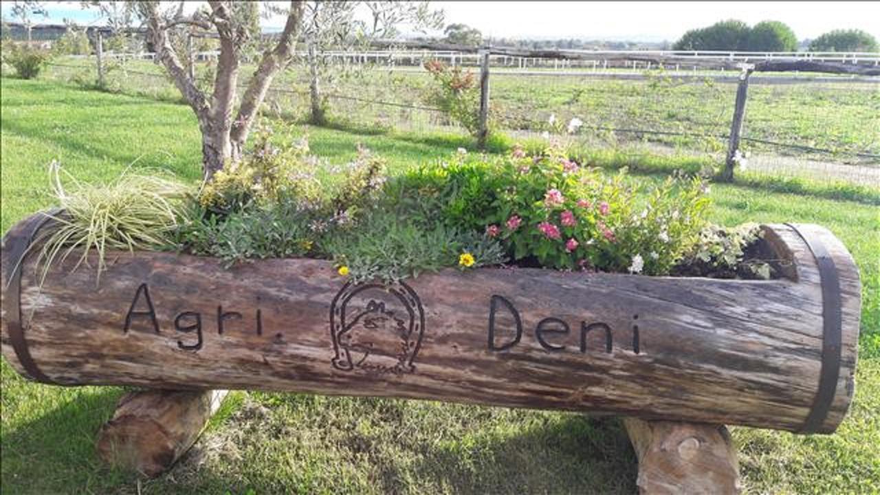 Apartmán Agriturismo Deni Cenaia Exteriér fotografie